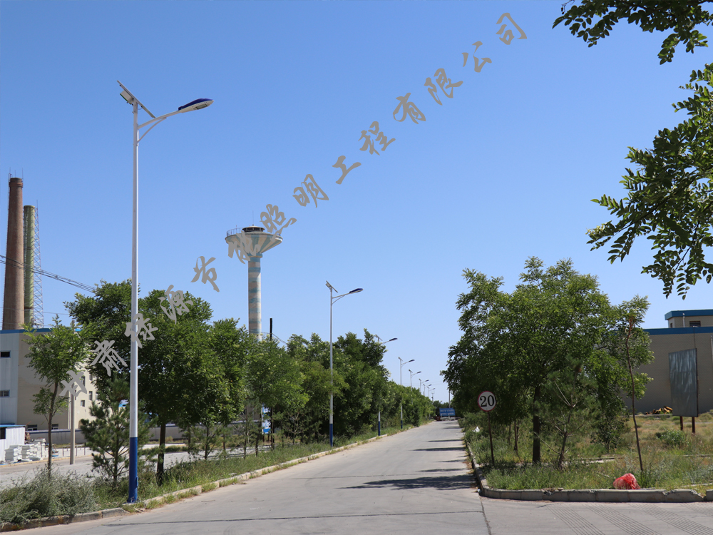 張掖馬鈴薯廠(chǎng)6米太陽(yáng)能路燈案例